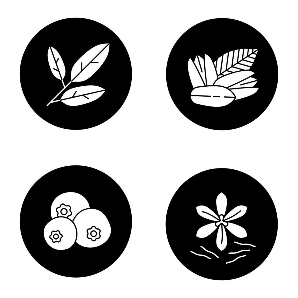 Conjunto de iconos de glifo de especias. hojas de laurel, pistacho, pimienta de Jamaica, azafrán. ilustraciones de siluetas blancas vectoriales en círculos negros vector