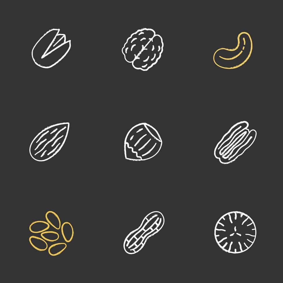 Nuts types chalk icons set. Pistachio, walnut, cashew and pecan nuts, almond, hazelnut, pinenuts, peanut, nutmeg. Isolated vector chalkboard illustrations