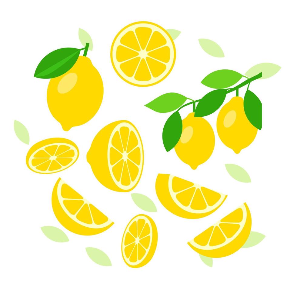 Lemon elements abstract vector design background