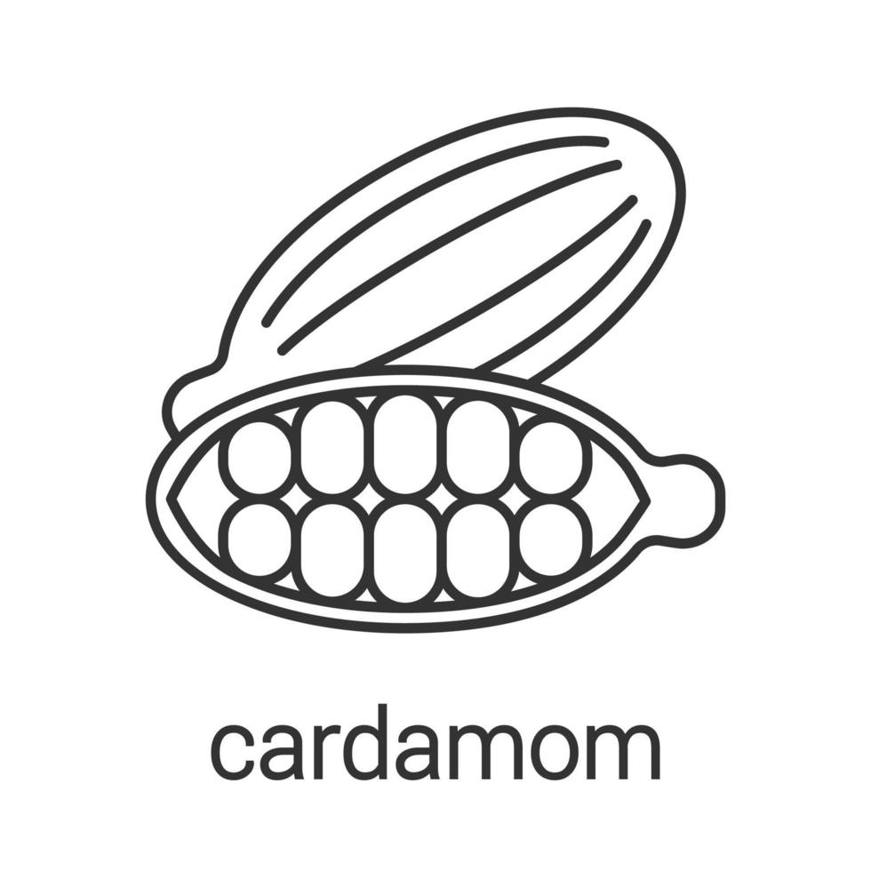 Cardamom linear icon. Thin line illustration. Flavoring, seasoning. Contour symbol. Vector isolated outline drawing