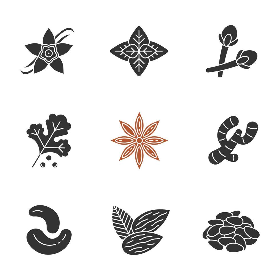 Spices glyph icons set. Seasonings, flavorings. Silhouette symbols. Vanilla flower, basil, clove, coriander, anise, ginger, cashew nuts, almond, pinenuts. Vector isolated illustration