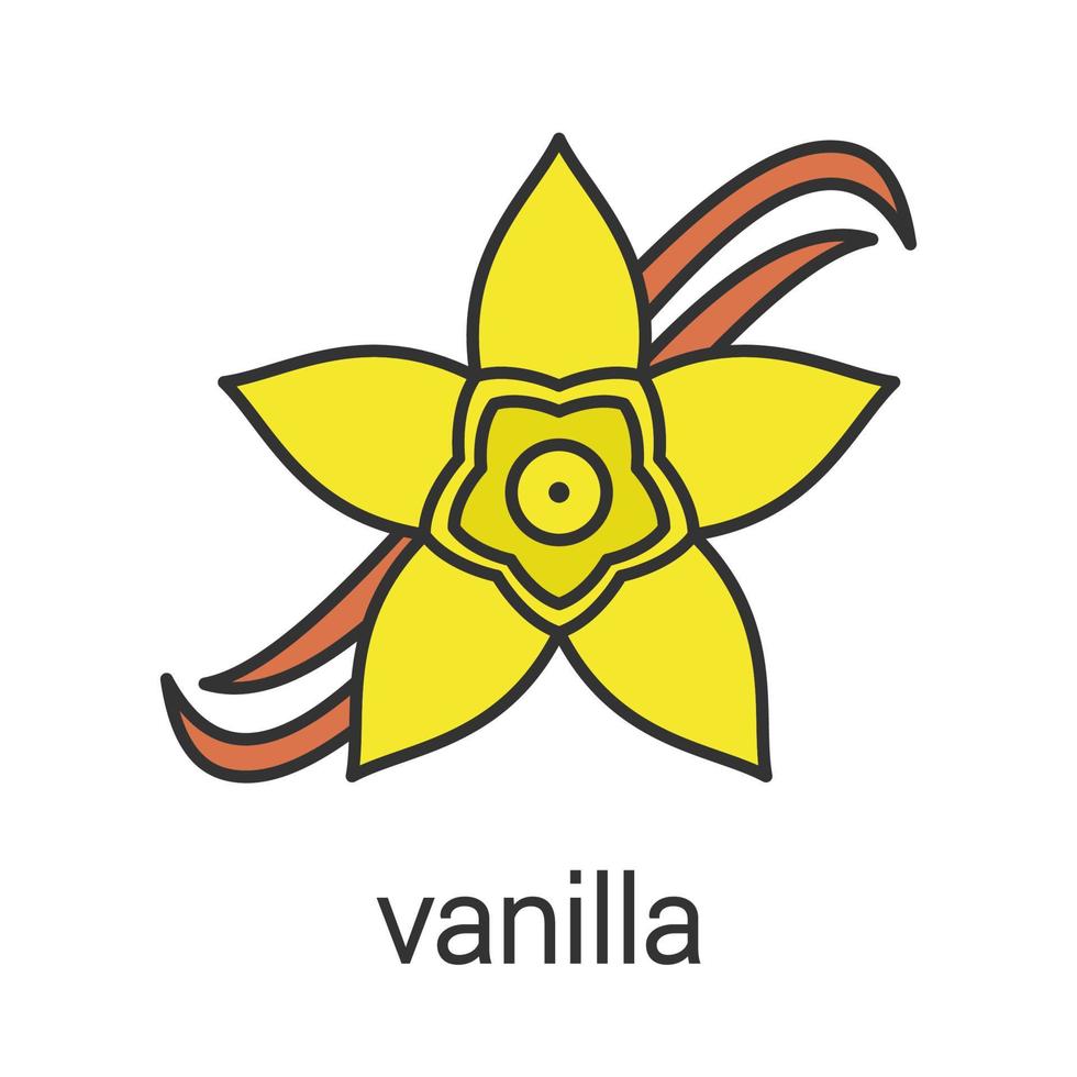 Vanilla flower color icon. Isolated vector illustration