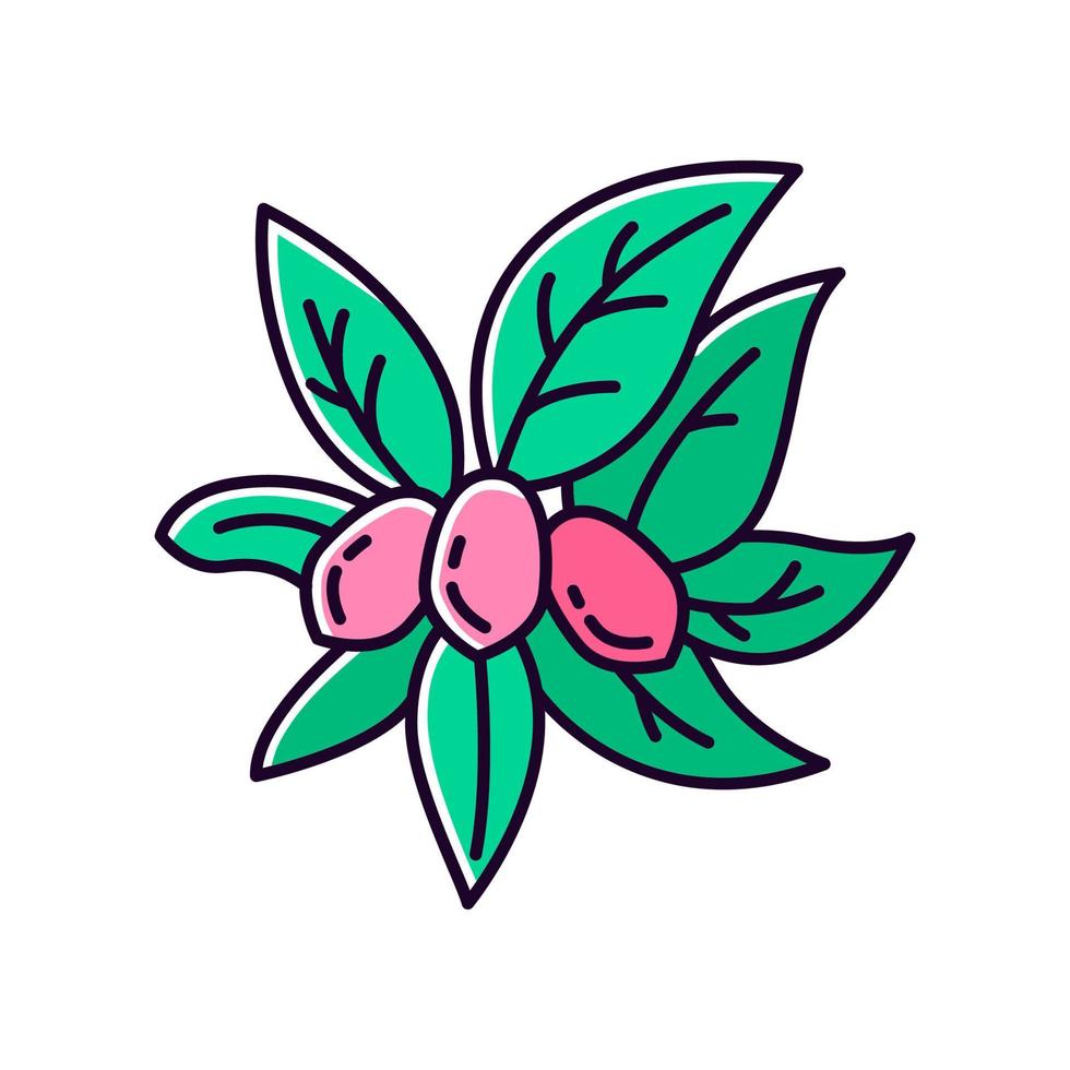 icono de color verde jojoba rgb. fruto milagroso. fruta brasileña con hojas. botánica. planta exótica. producción de aceite cosmético. ilustración vectorial aislada vector
