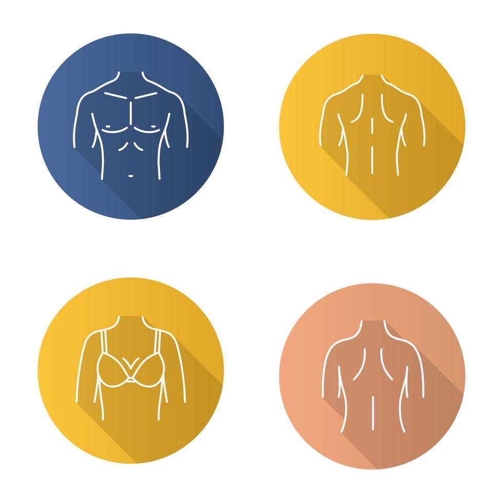 Body parts flat linear long shadow icons set. Male and female backs, muscular torso, woman's breast. Vector outline illustration