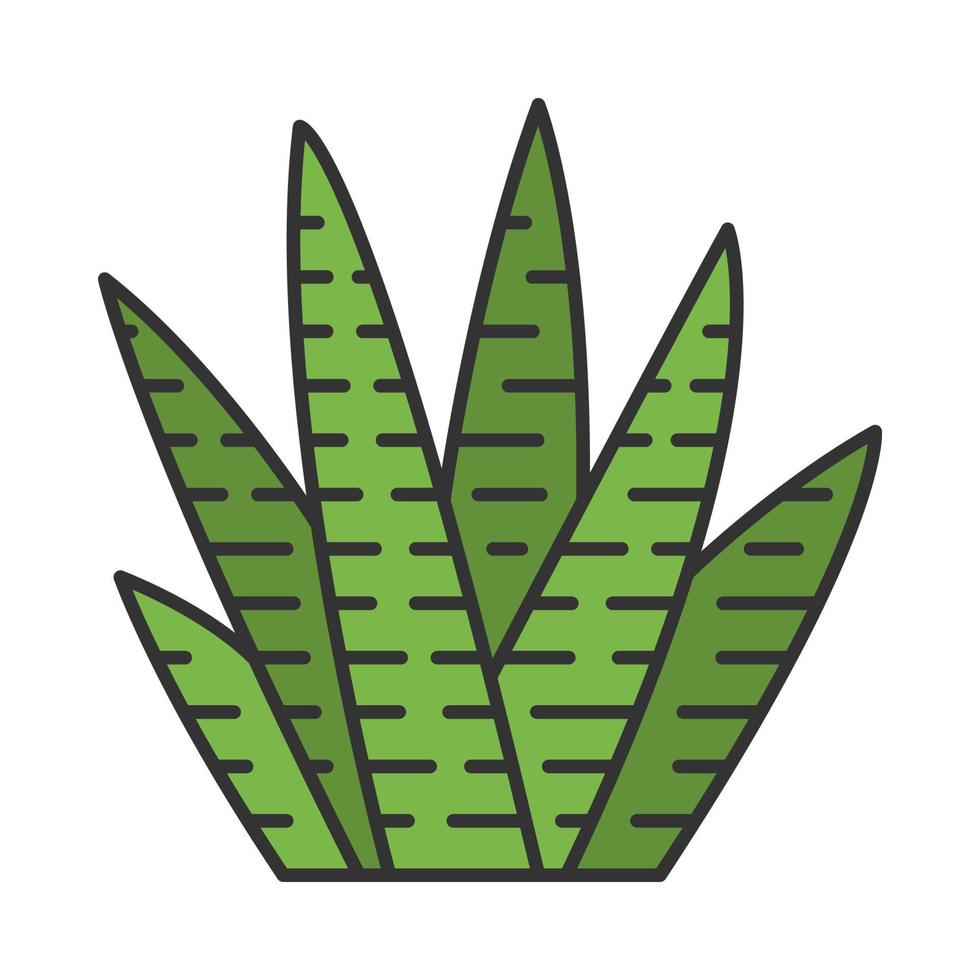 icono de color de cactus cebra vector