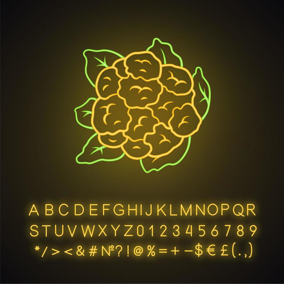 Cauliflower neon light icon vector