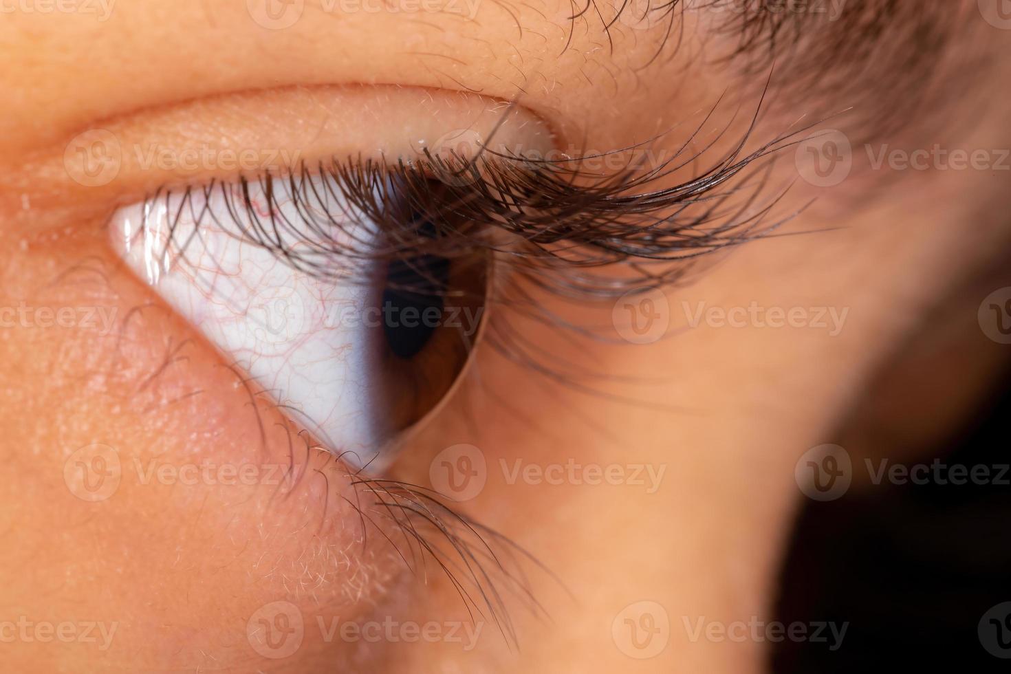 Human eye in macro photo