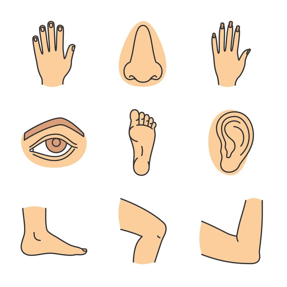 Human body parts color icons set. Male and female hands, nose, eye, feet, ear, elbow joint, knee. Isolated vector illustrations