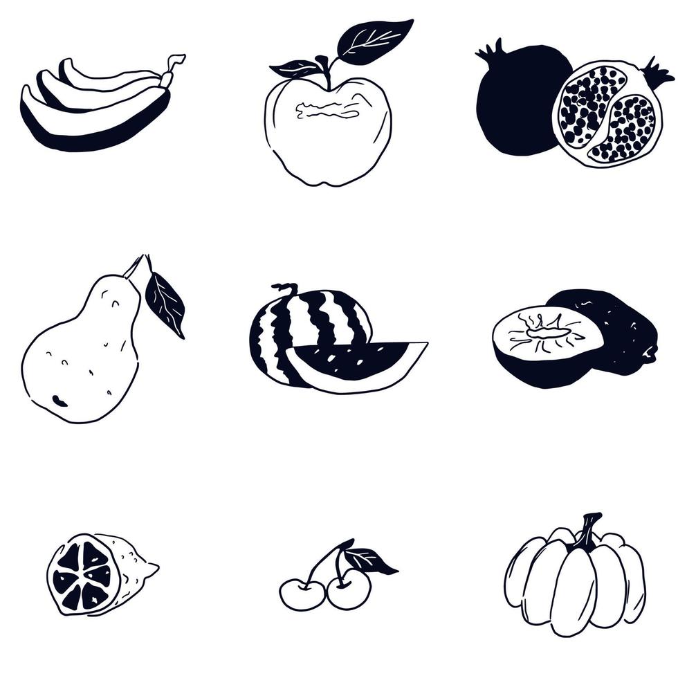 Doodle bosquejo de frutas dibujo en blanco y negro vector