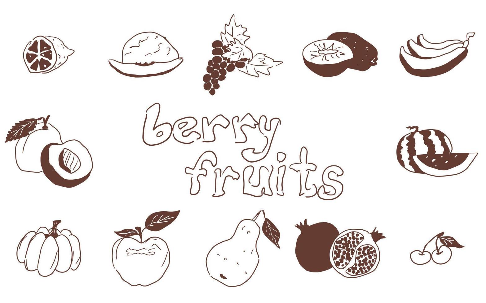 doodles fruit large selection on white background vector