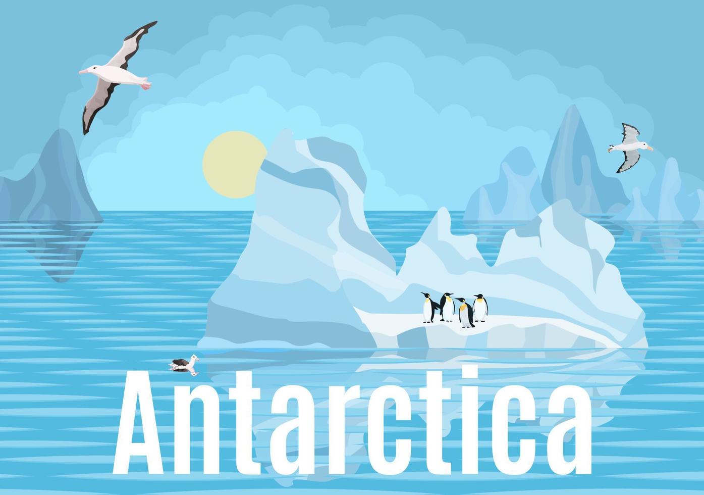 pingüinos y albatros de la Antártida sobre icebergs vector