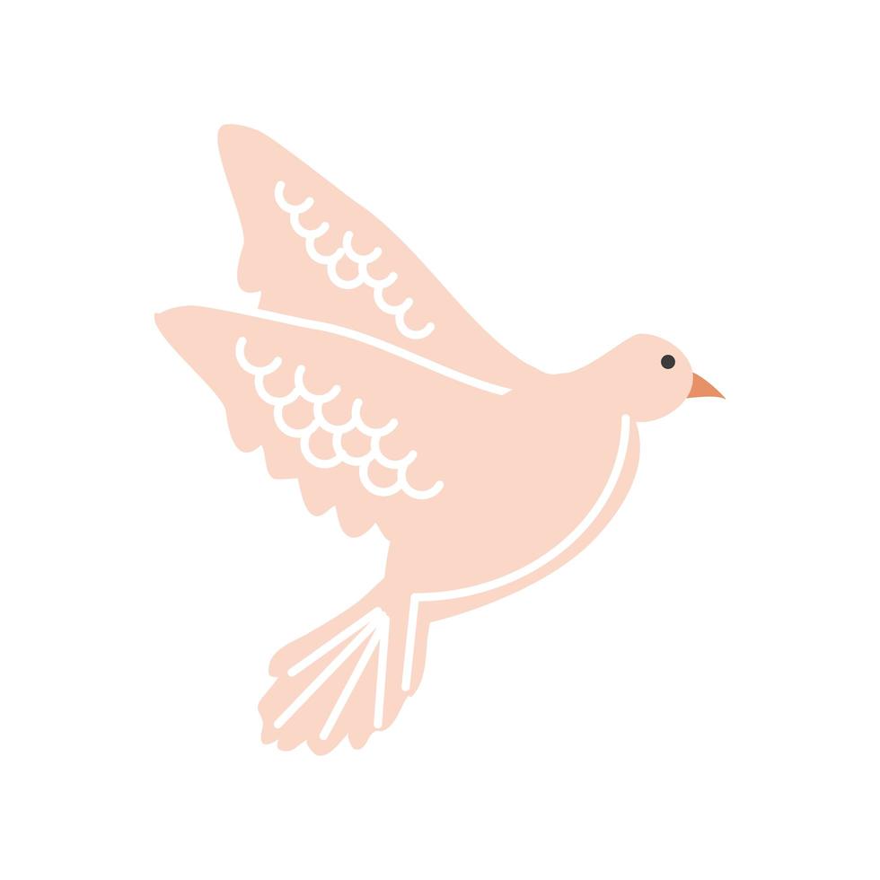 pigeon bird flying vector