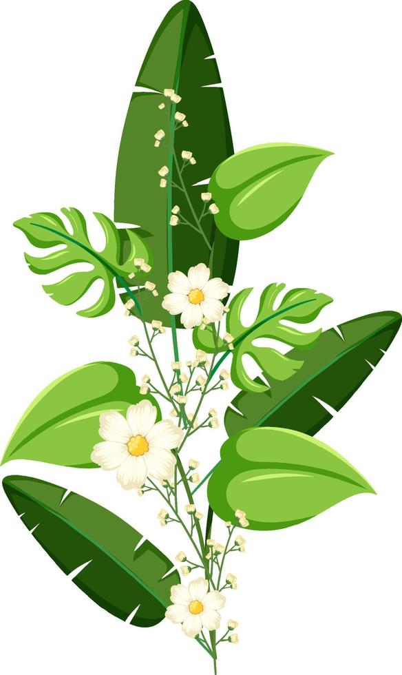 Beautiful flower with green leaves vector
