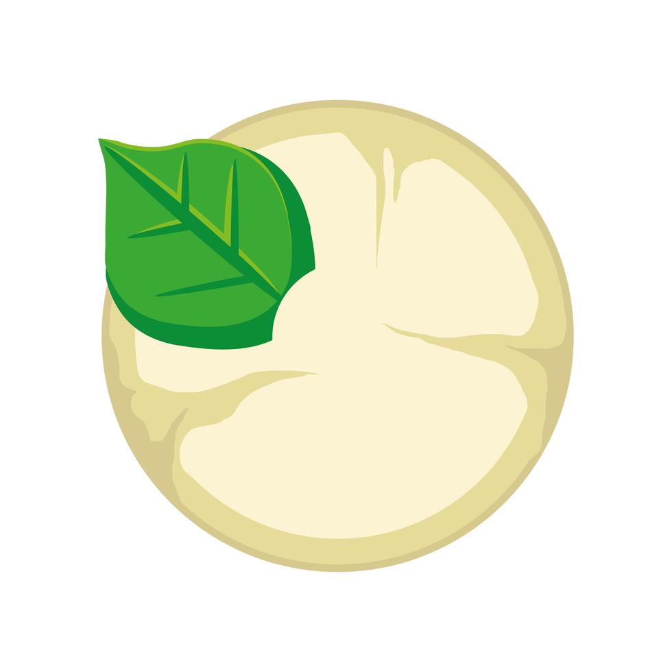 cream cheese herbal vector