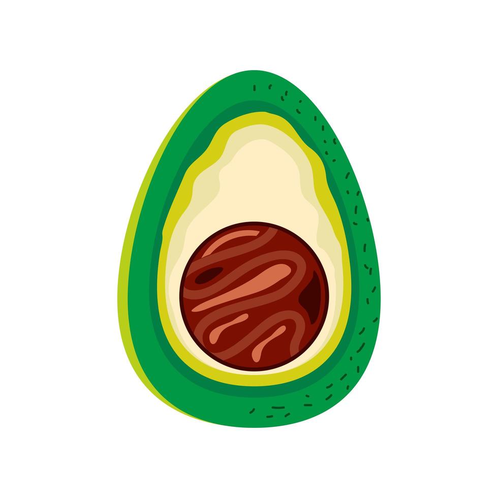 half fresh avocado vector