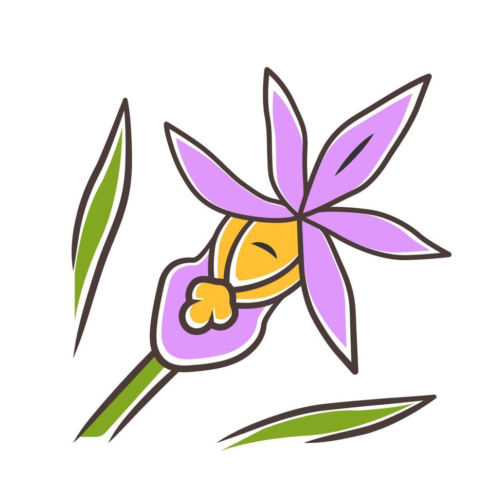 Icono de color púrpura orquídea calypso. flor floreciente exótica, tropical. zapatilla de hadas. calipso bulbosa. paphiopedilum de flores silvestres. flor de primavera. ilustración vectorial aislada vector
