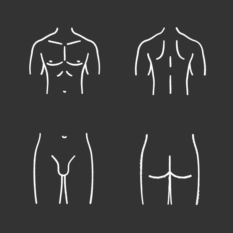 Conjunto de iconos de tiza de partes del cuerpo masculino. pecho musculoso, espalda, ingle, trasero. ilustraciones de pizarra vector aislado