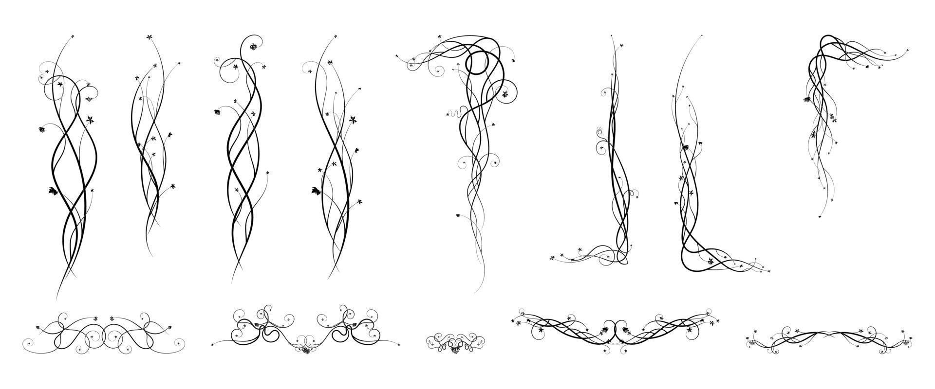 elementos de adorno planta trepadora de uvas. bosquejo vector