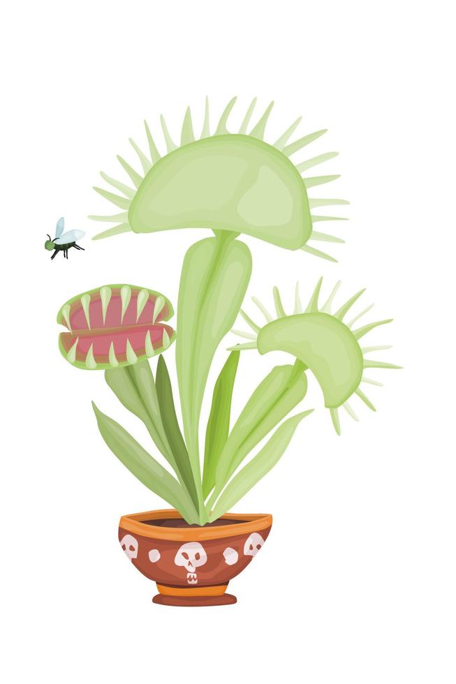 Venus flytrap dangerous predatory plant botany new vector