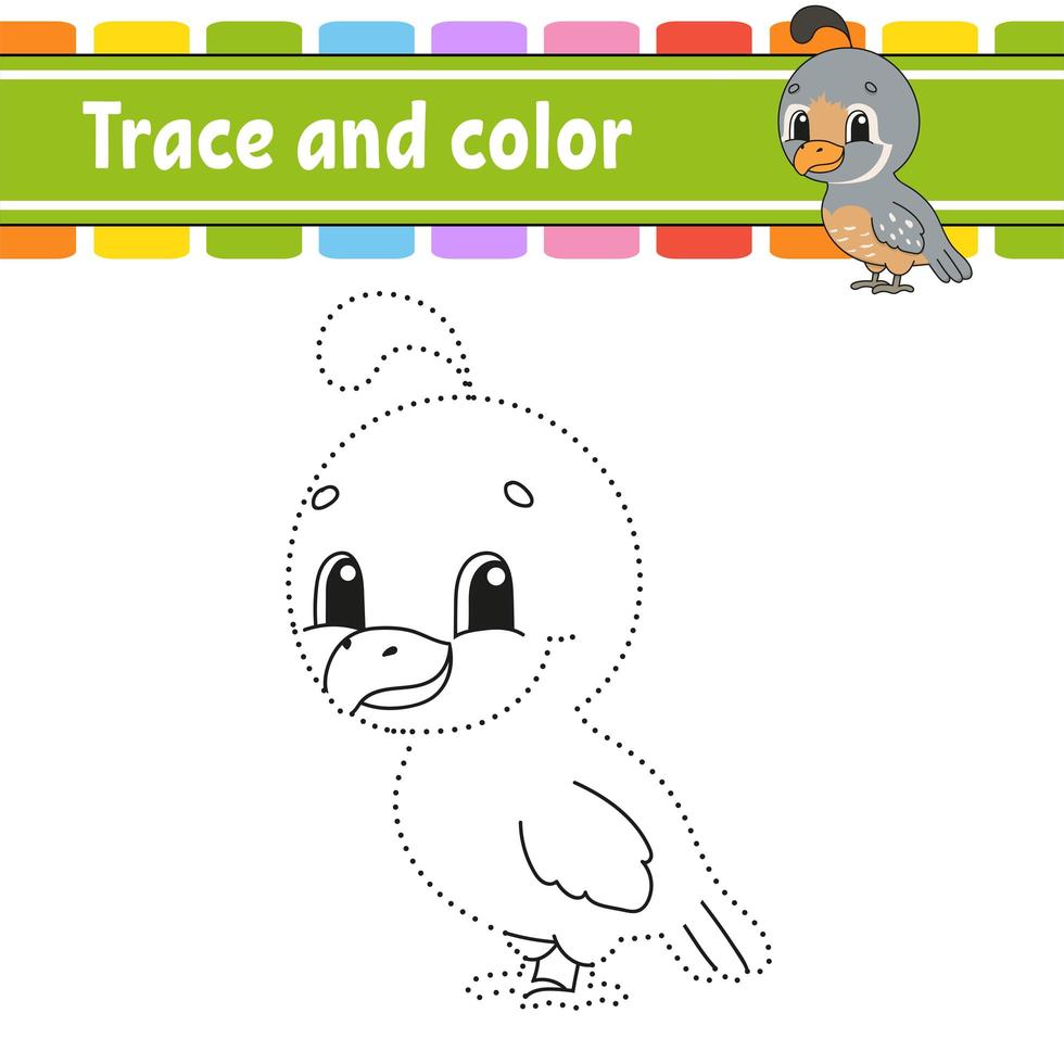 Trace and color. Quail bird. Coloring page for kids. Handwriting practice. Education developing worksheet. Activity page. Game for toddlers. Isolated vector illustration. Cartoon style.