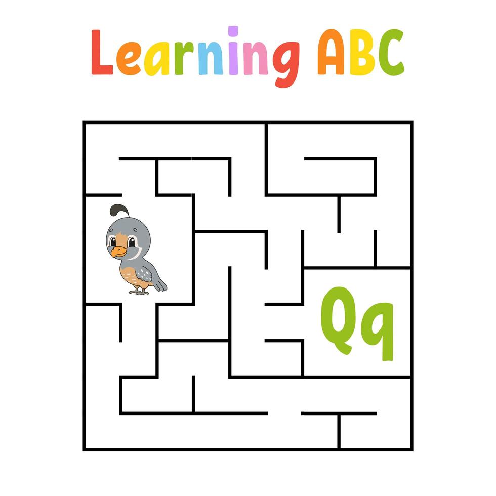 Square maze. Game for kids. Quail bird. Quadrate labyrinth. Education worksheet. Activity page. Learning English alphabet. Cartoon style. Find the right way. Color vector illustration.