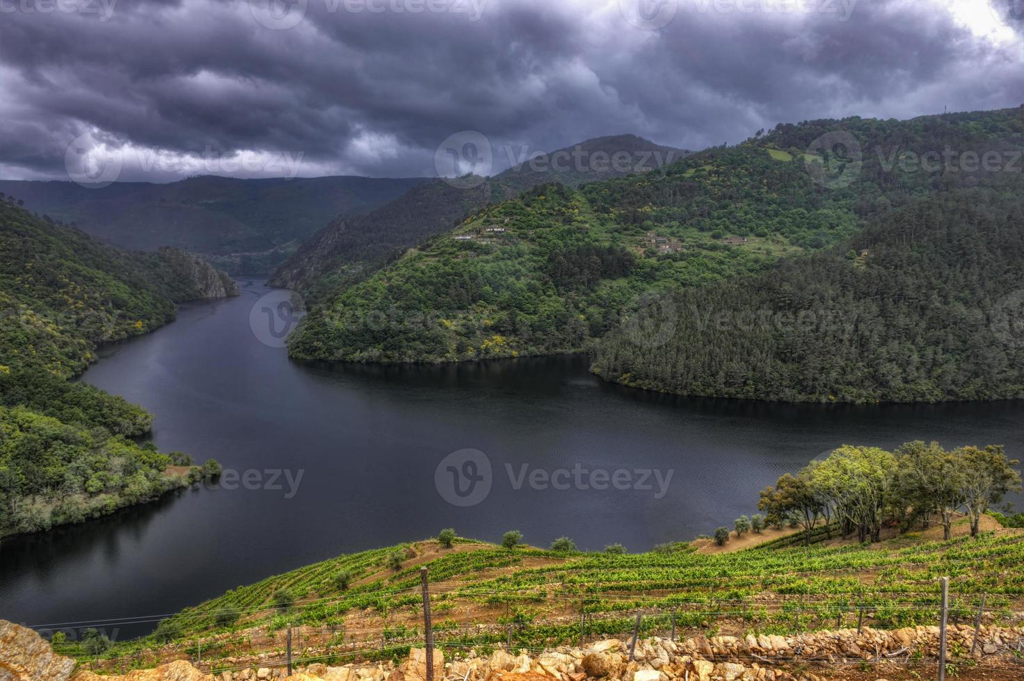 Paisaje de viñedos en terrazas en el río Miño en la Ribeira Sacra, Galicia, España foto