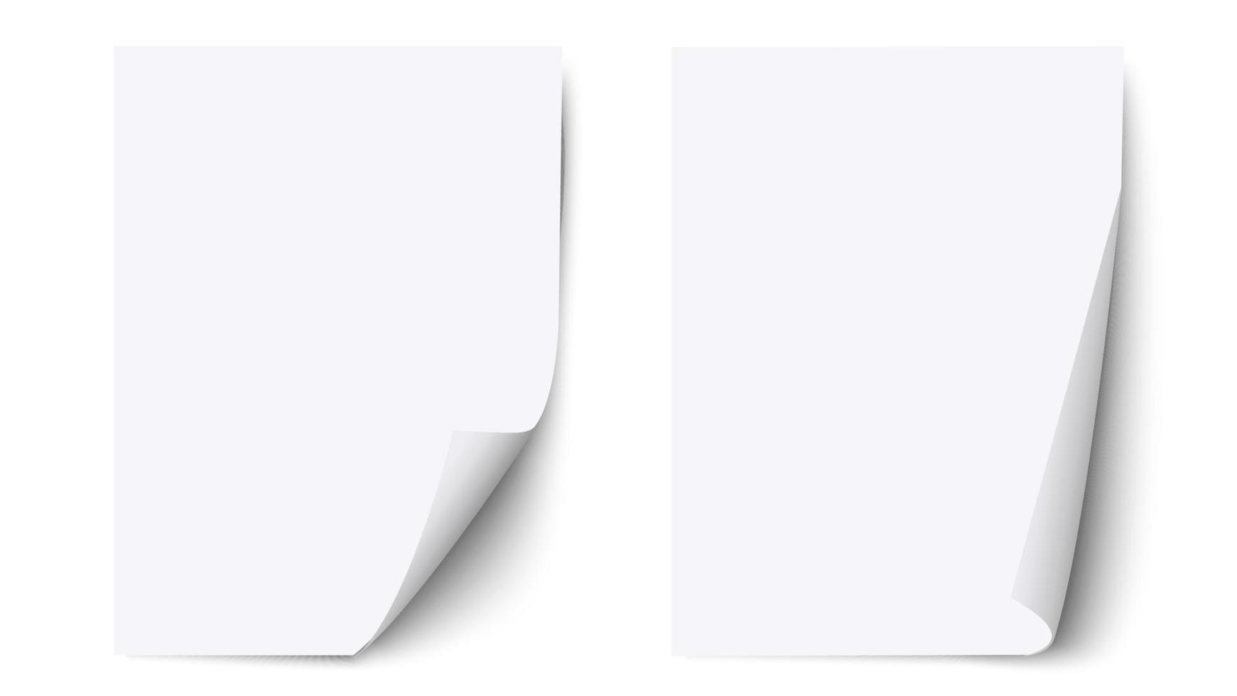 White blank sheet paper with curled corner and shadow, paper sheet  mockups vector