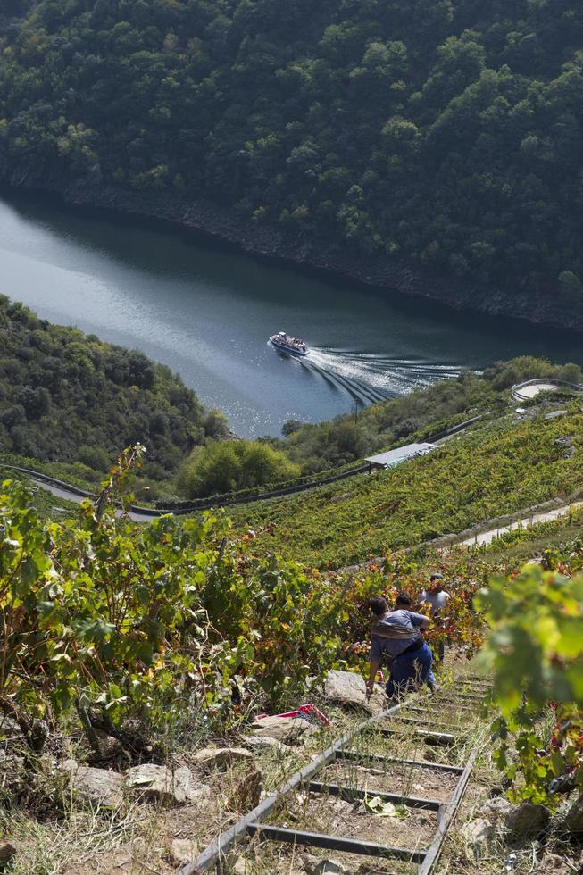 lugo, galicia, españa, 2021. ascensores para salvar pendientes de hasta un 80 por ciento en viticultura heroica foto