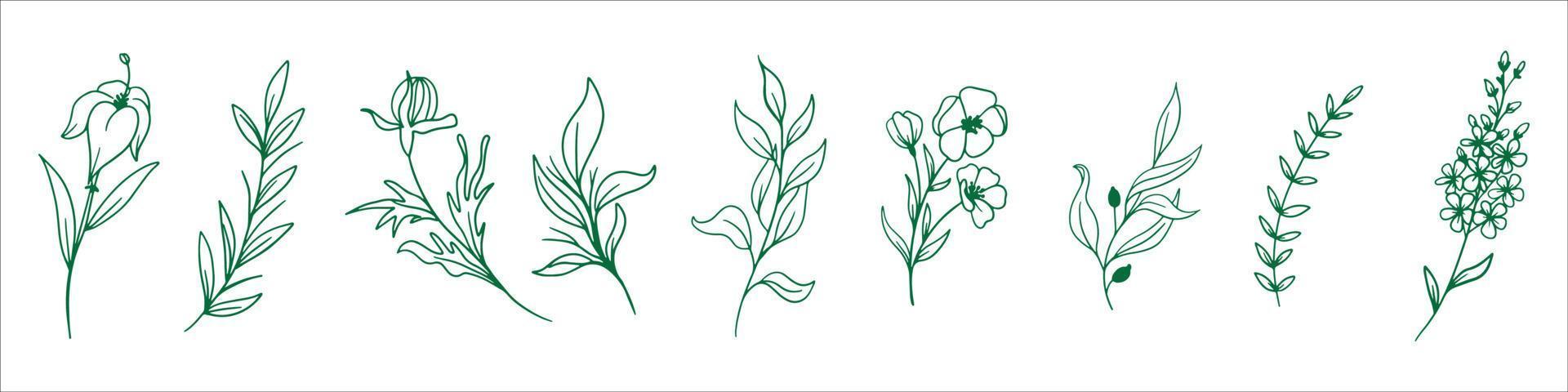 green leaf vector