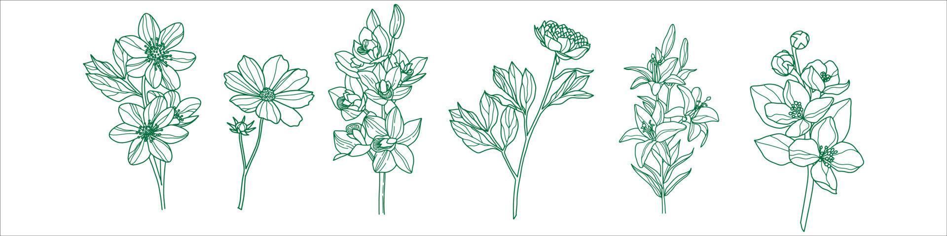 plantas dibujadas a mano vector eps 10