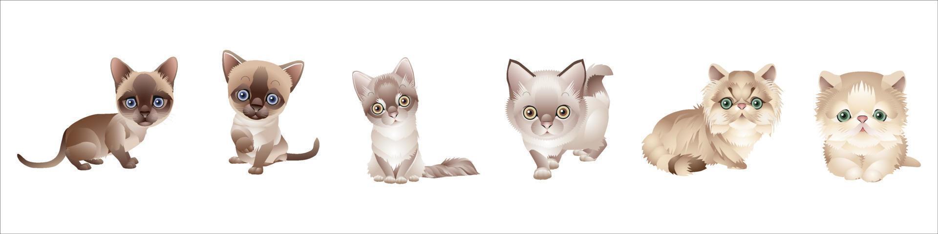 cute cat in different poses vector