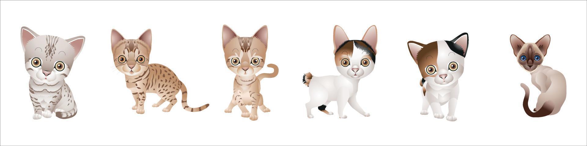 establecer diferentes gatos vector