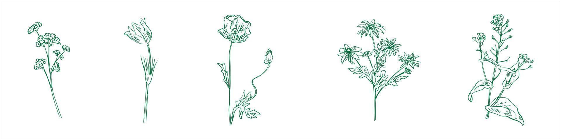 Tropical leaves collection vector