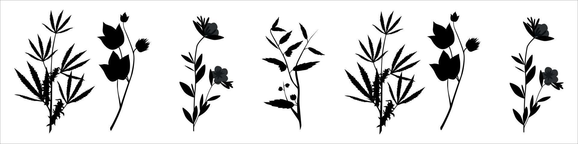 Floral and Botanicals vector eps 10