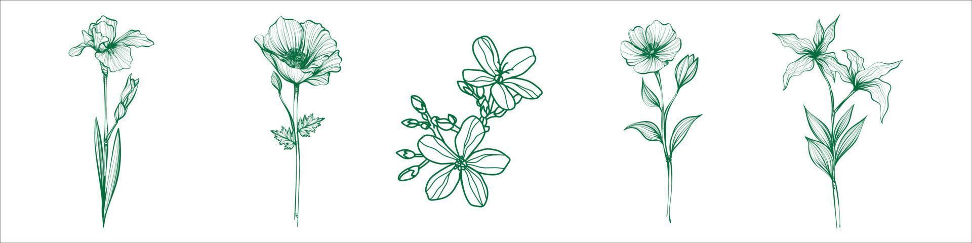 Hand drawn plants vector