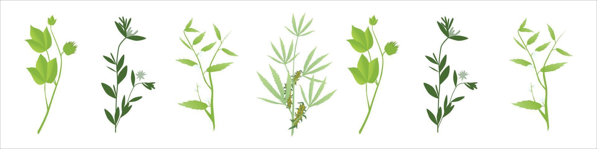 Astringent herbs vector illustration collection. Natural homeopathy wild plants botanic set.