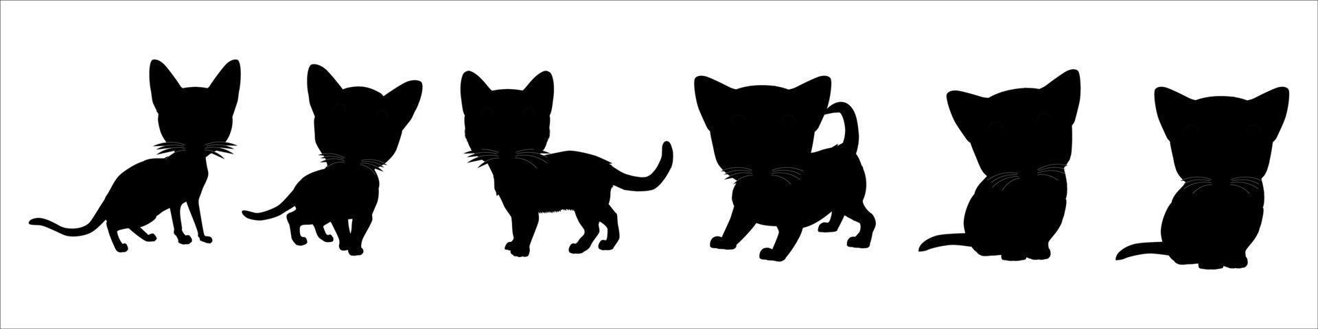 gatos, aislado sobre fondo blanco vector