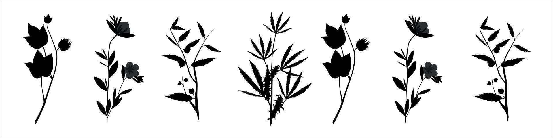 botani plant silhouettes vector 1eps 10