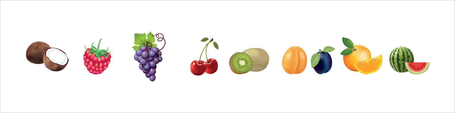 Fruit set Vector