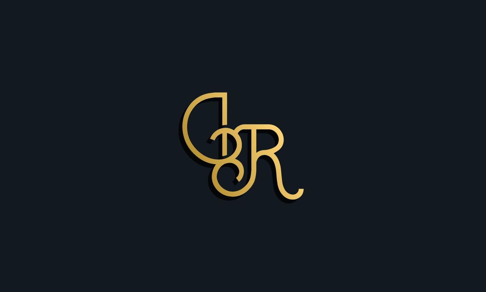 Luxury fashion initial letter DR logo. vector