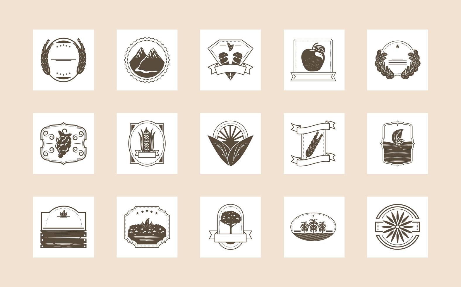 set of organic produce vector