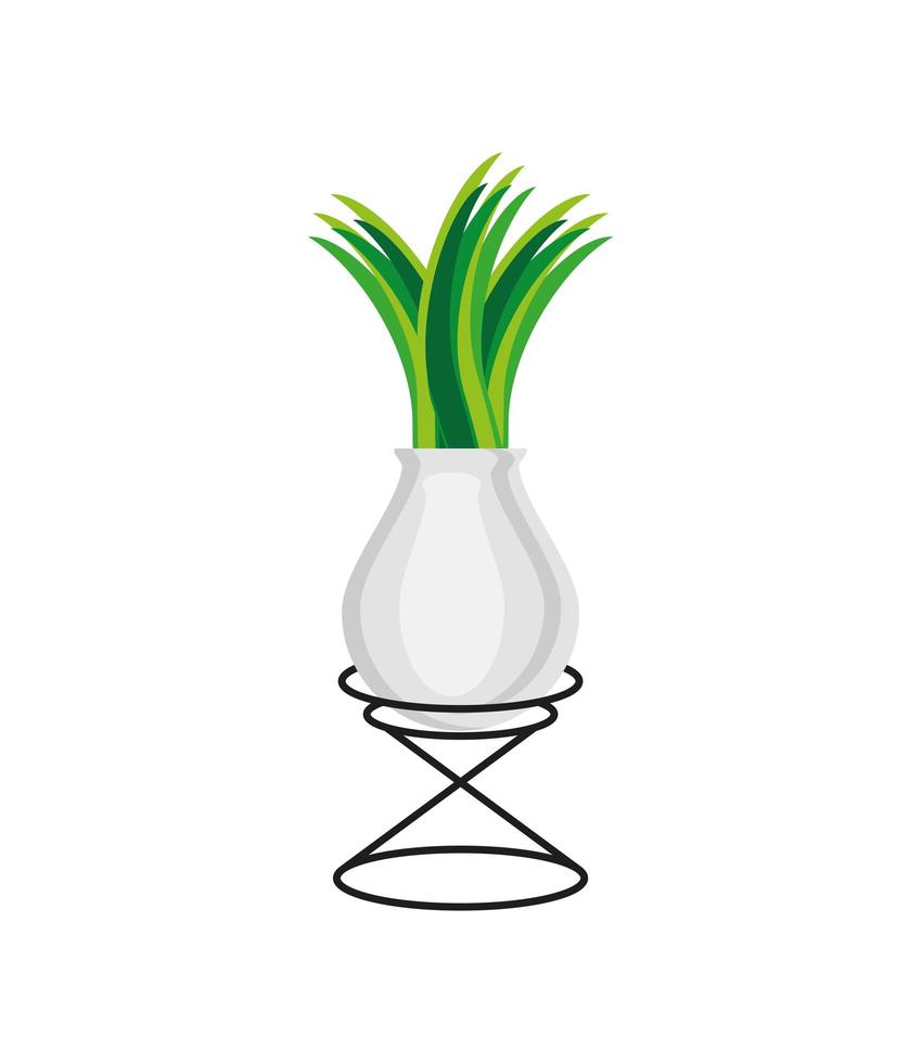 plant in vase vector