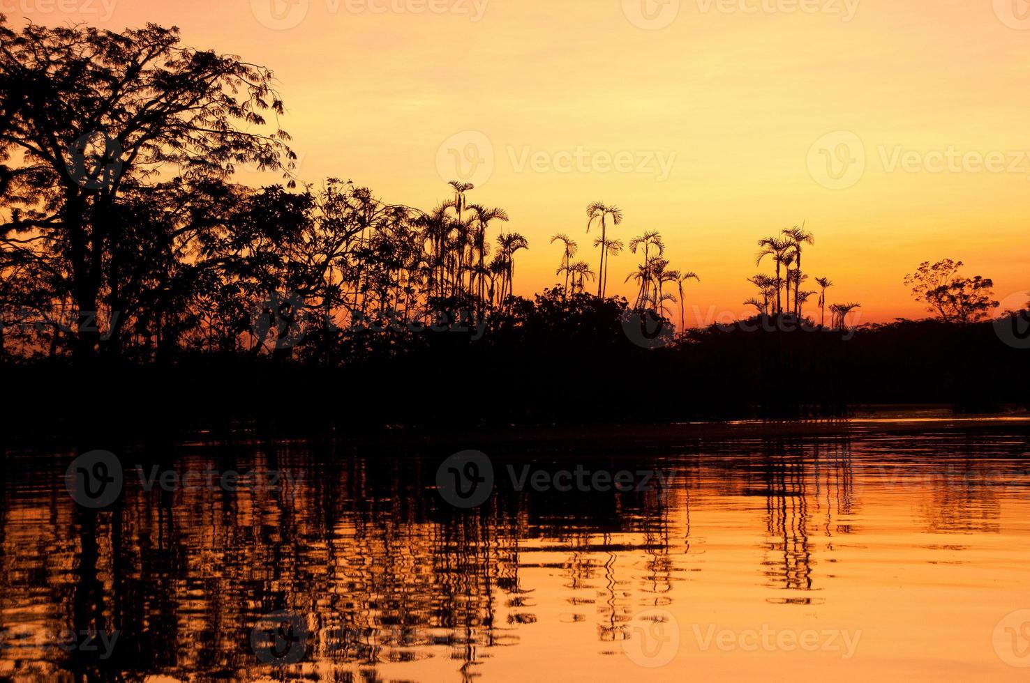 lago amazónico al atardecer, ecuador foto