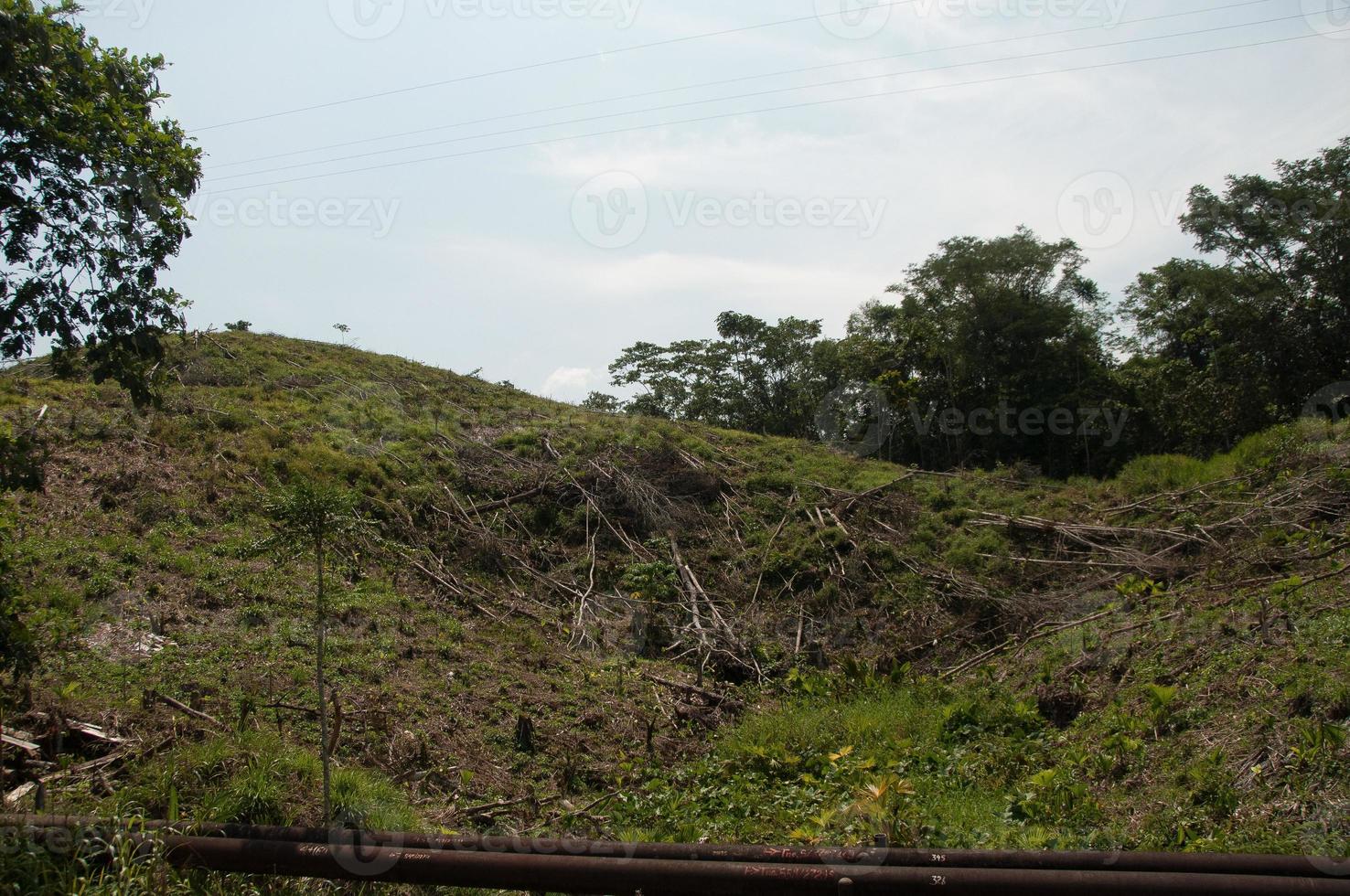 Cleared Amazon Rainforest Land, Ecuador photo