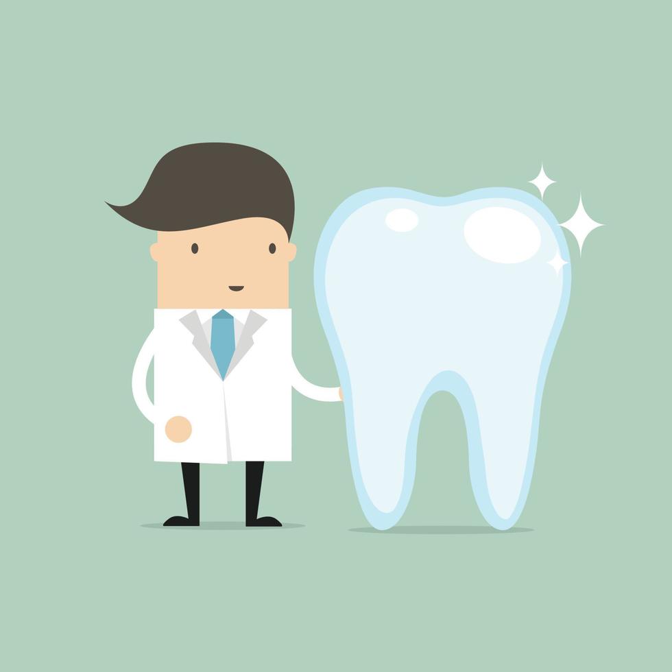 Dentist, Doctor presenting the tooth. vector