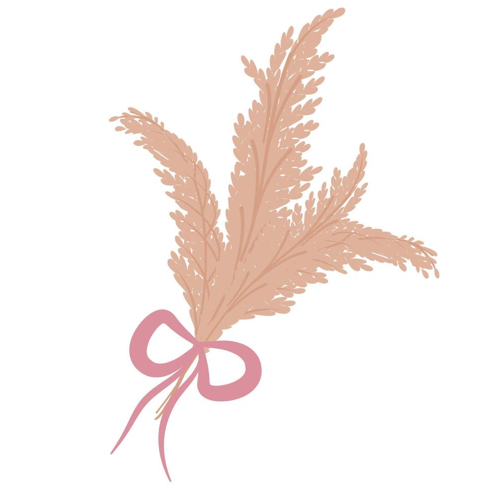 A bouquet of wheat, pampas with a pink bow is isolated on a white background. Vector illustration in the flat boho style of Cortaderia selloana