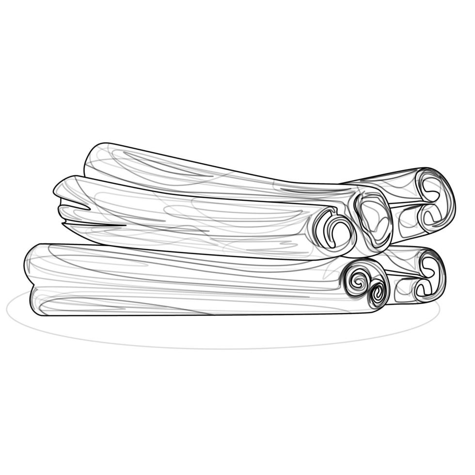 Vector image of cinnamon or kisei sticks. Outline style. EPS 10