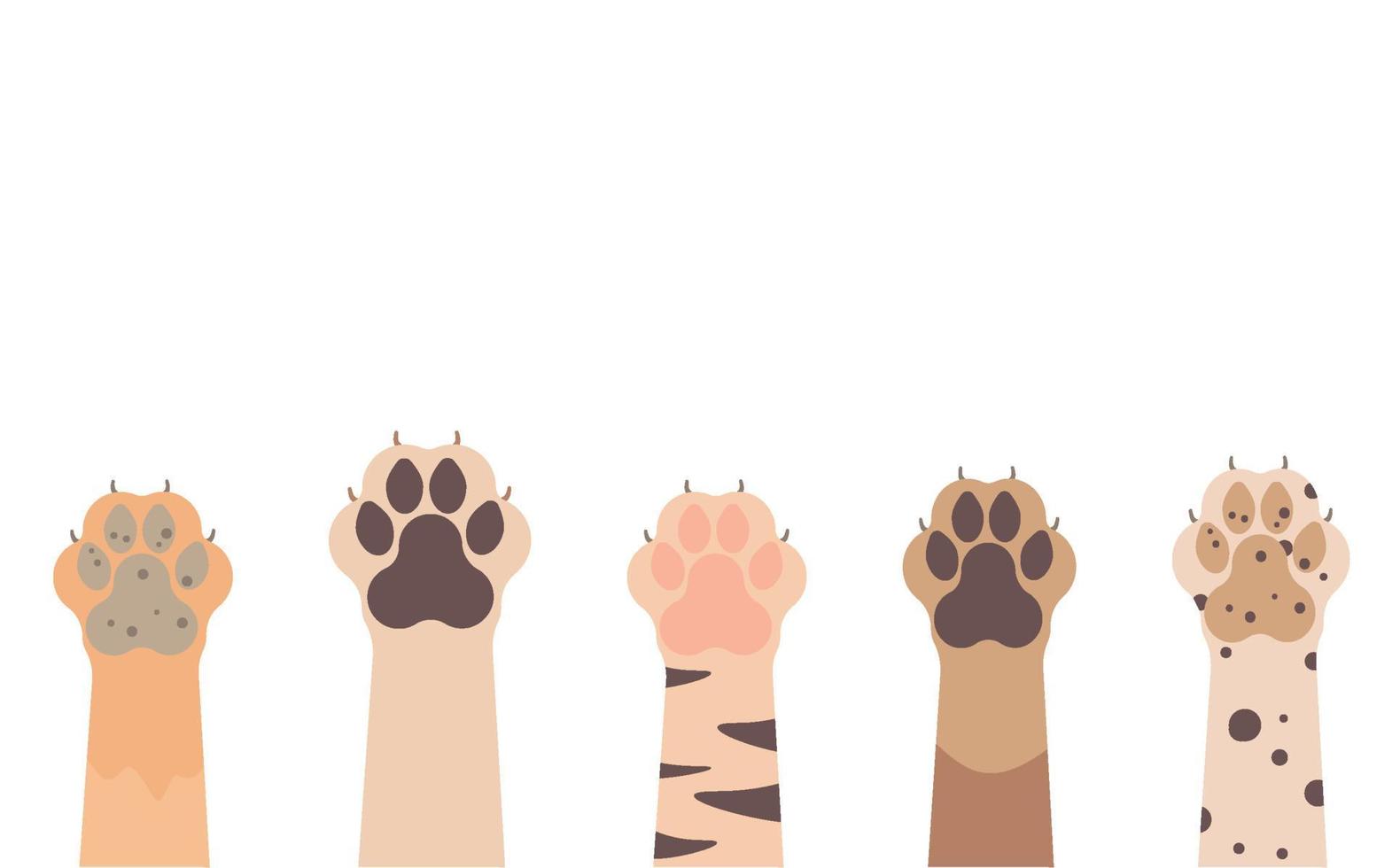 Paws up to pets set isolated on a white background. Vector illustration.