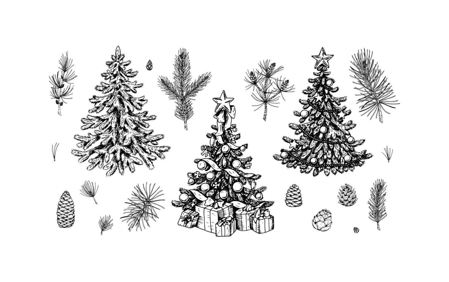 Set of Christmas design elements. Decorated fir tree, spruce branches, cones, poinsettia, mistletoe. vector