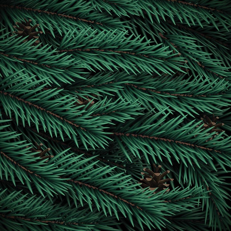 Realistic Christmas tree branches texture. vector